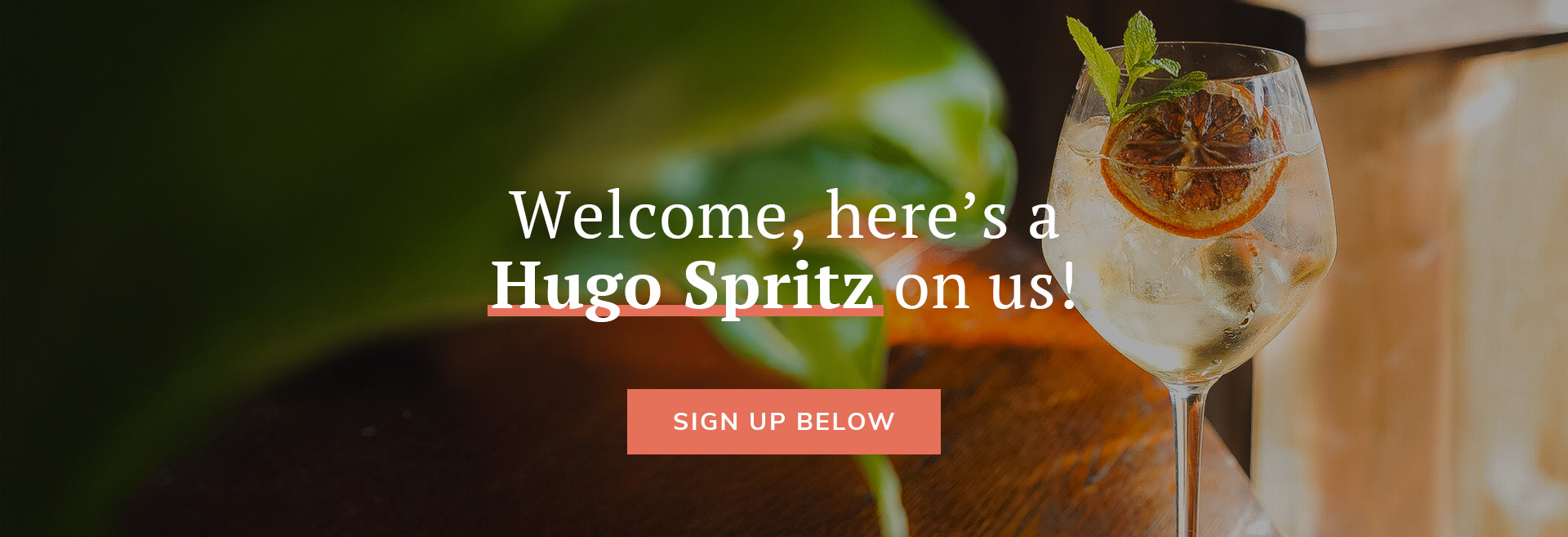 Sign up to the newsletter at The Alwyne Castle