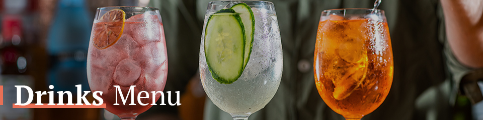 Drinks Menu at The Alwyne Castle